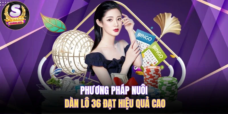 Phương pháp nuôi dàn lô 36 đạt hiệu quả cao